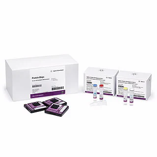 Bioanalyzer Protein Analysis